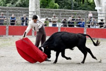 Des nouvelles du Centre Français de Tauromachie