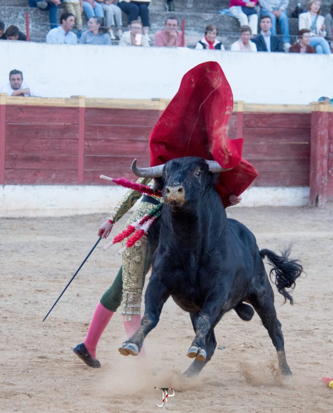 La belle temporada de VALENTÍN