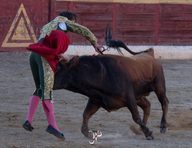 La belle temporada de VALENTÍN