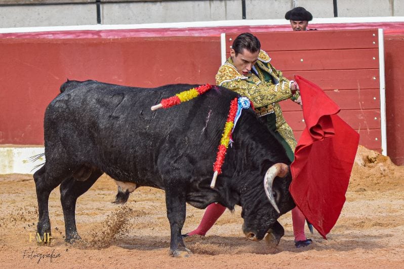 La belle temporada de VALENTÍN