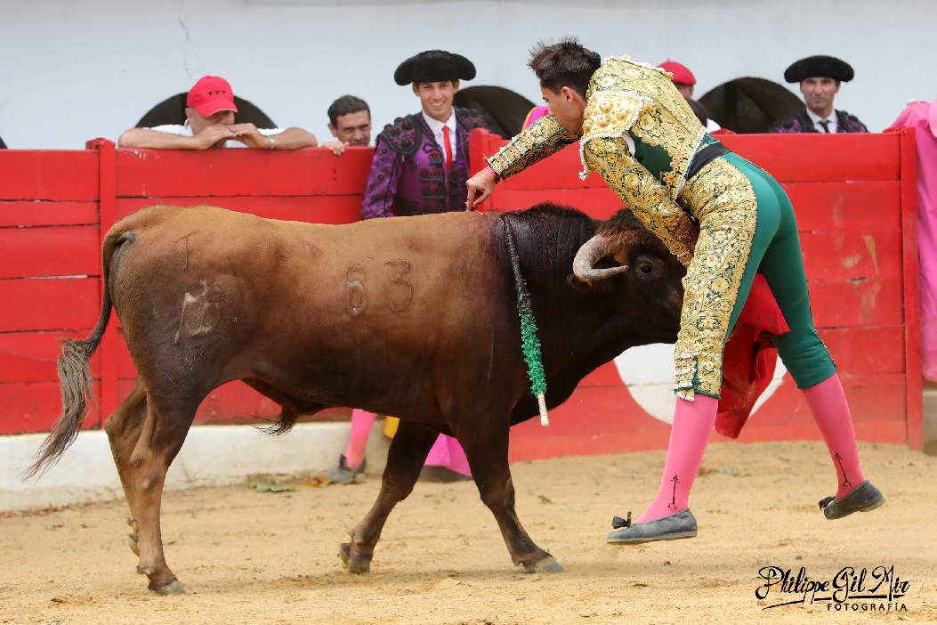 La belle temporada de VALENTÍN