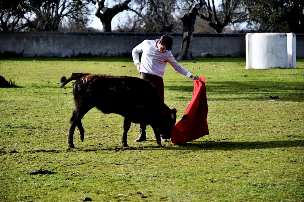 ​Chroniques salmantines 2025